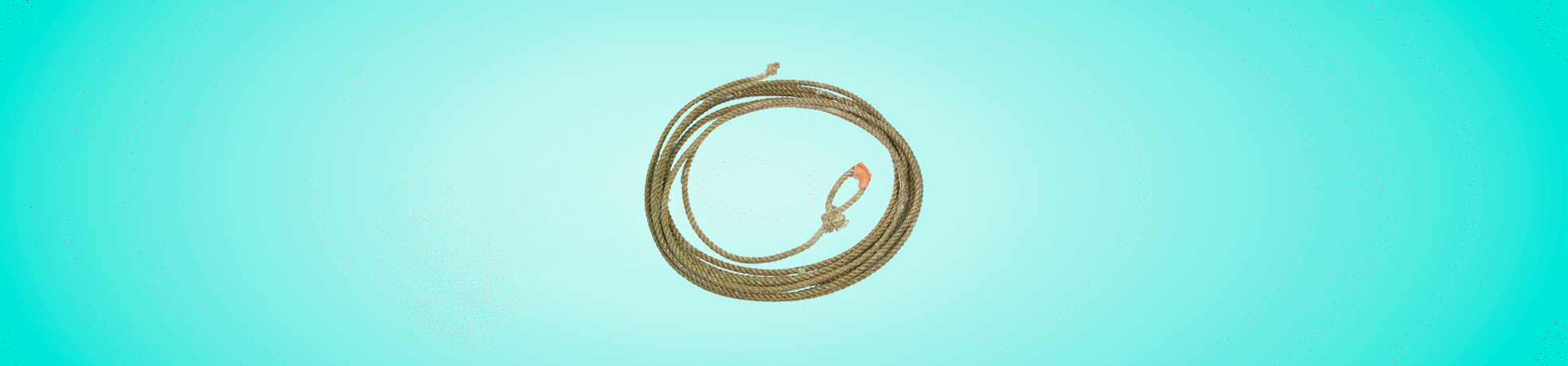 Accessoires de Western