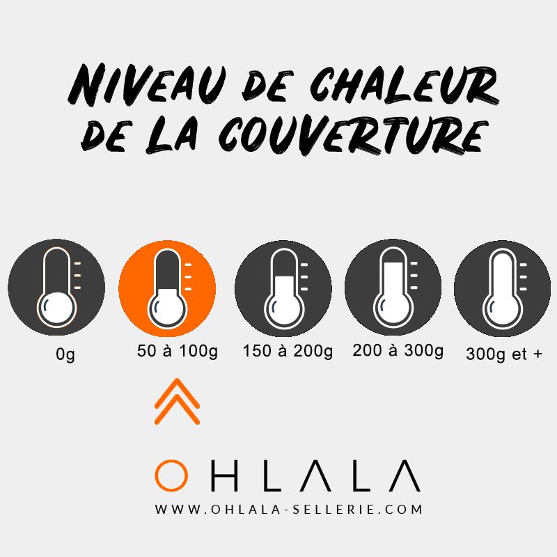 Paddock Sport - Couverture de box matelassée noir 50 g | - Ohlala