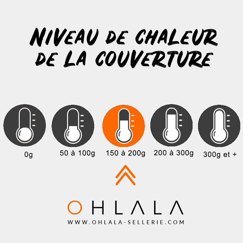 Paddock Sport - Couverture de box matelassée noir 200 g | - Ohlala