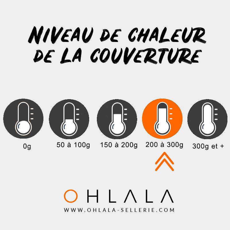 Equithème - Chemise polaire gris chiné 280g | - Ohlala