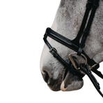 Jump'In - Gecombineerd neusriem Evolution zwart | - Ohlala