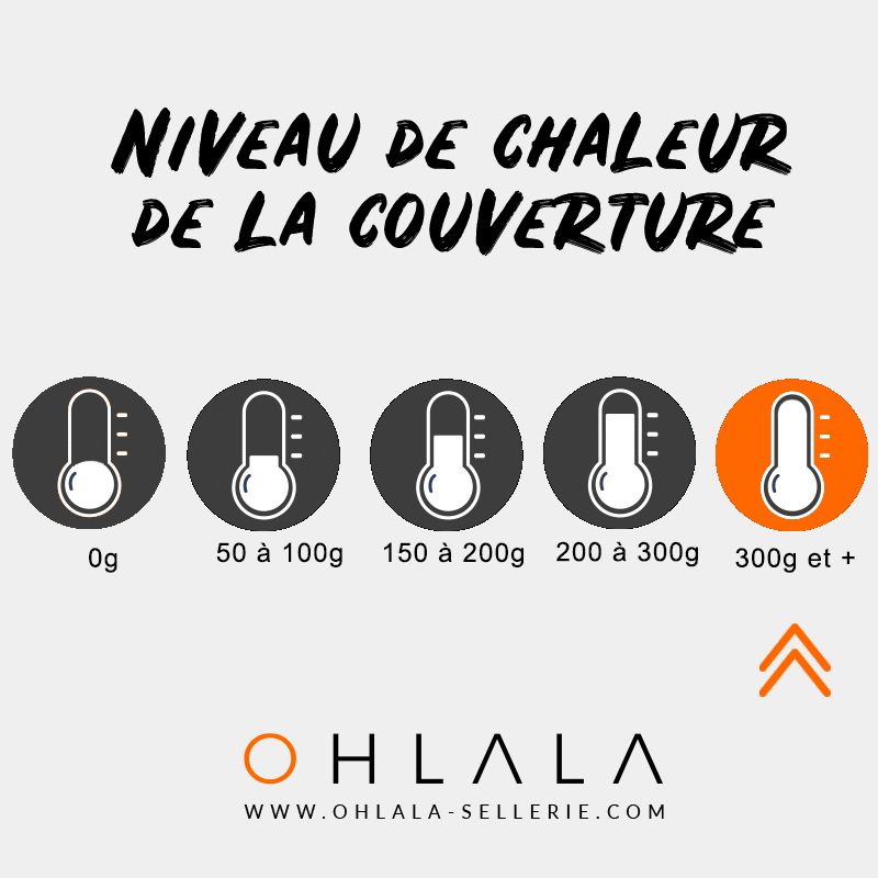 Canter - Couverture de box marine 400g | - Ohlala