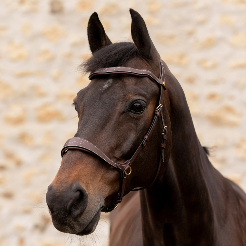 K By Equithème - Bridon K-KONNECT havane