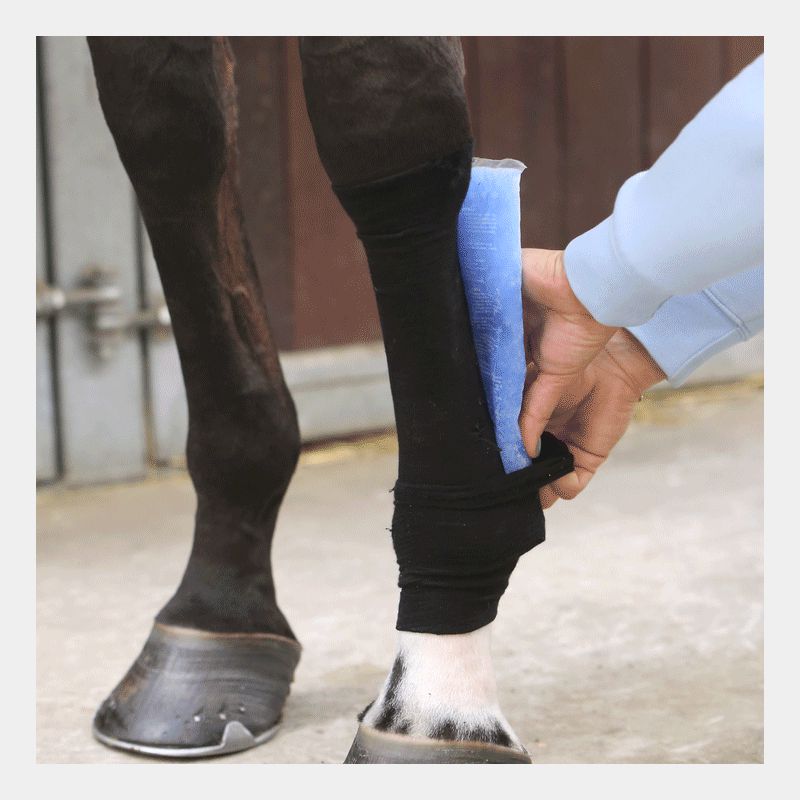 Kentucky Horsewear - Tendon Grip Chaussette | - Ohlala