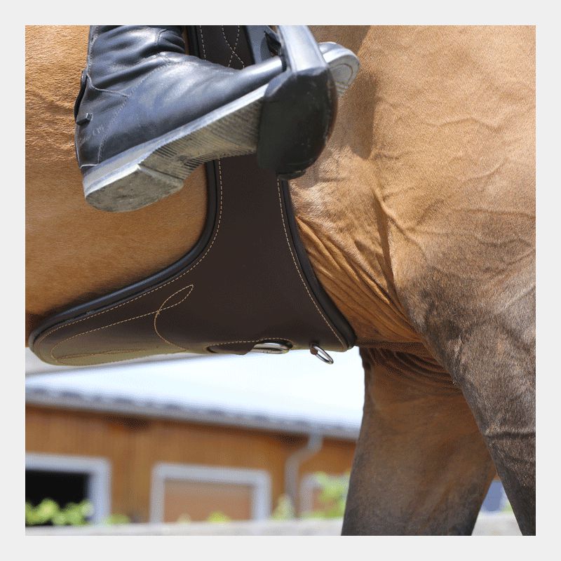 Kentucky Horsewear - Sangle bavette marron | - Ohlala