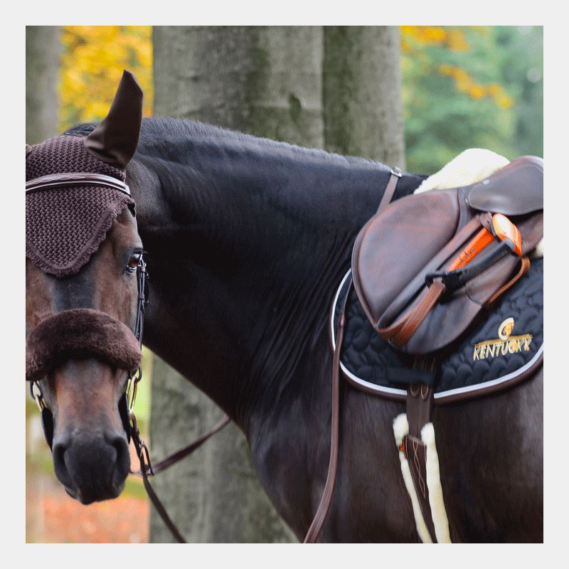 Kentucky Horsewear - Fourreau de muserolle marron | - Ohlala