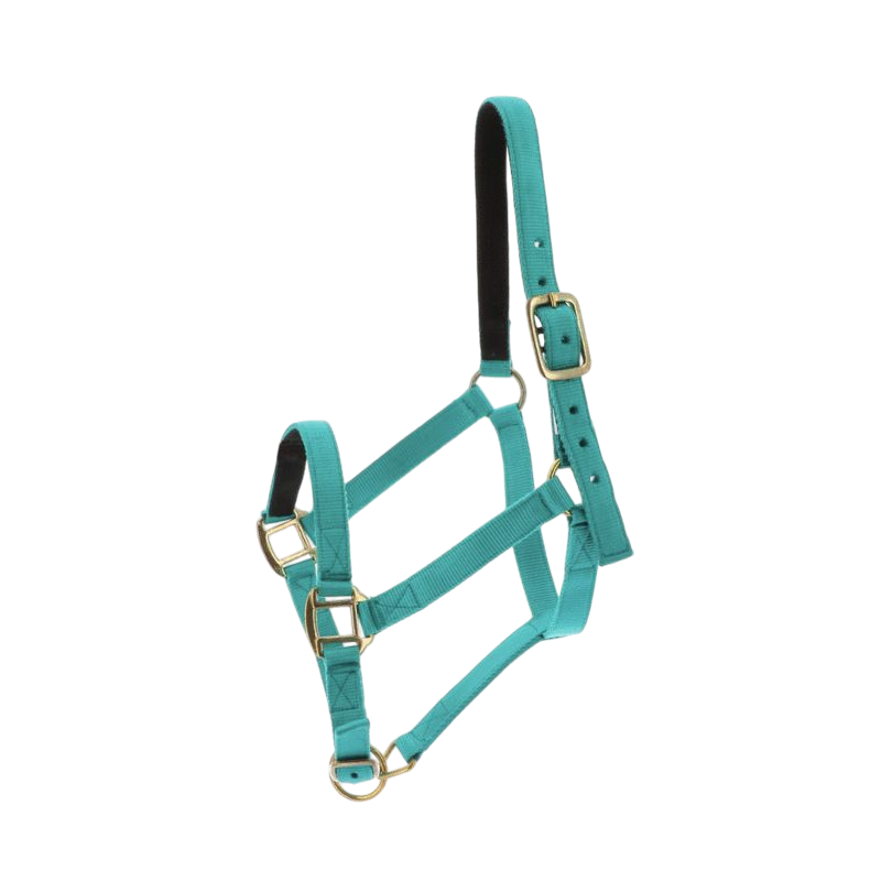 Norton - Licol nylon doublé cuir turquoise