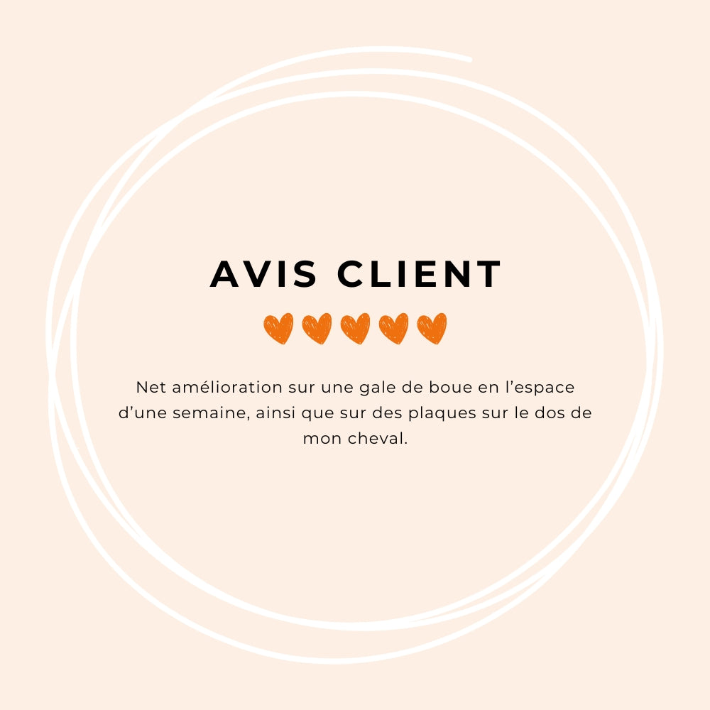 OR VET - Pommade cicatrisation cutanée Dermis | - Ohlala