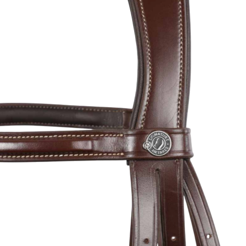 Antarès Sellier - Bridon Hunter Signature Sport havane