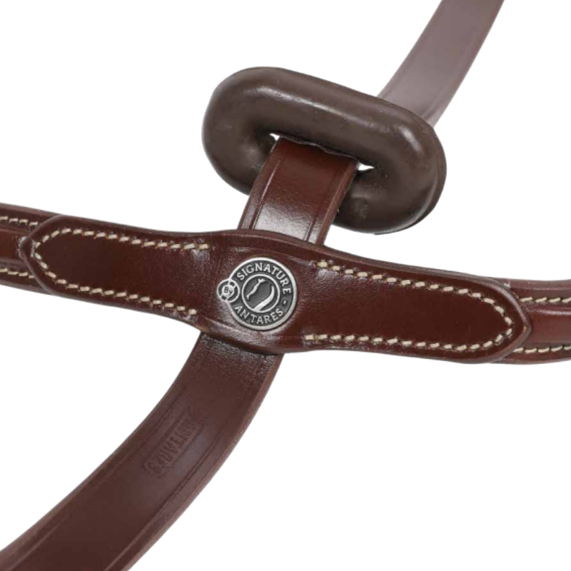 Antarès Sellier - Martingale fixe Signature Sport havane