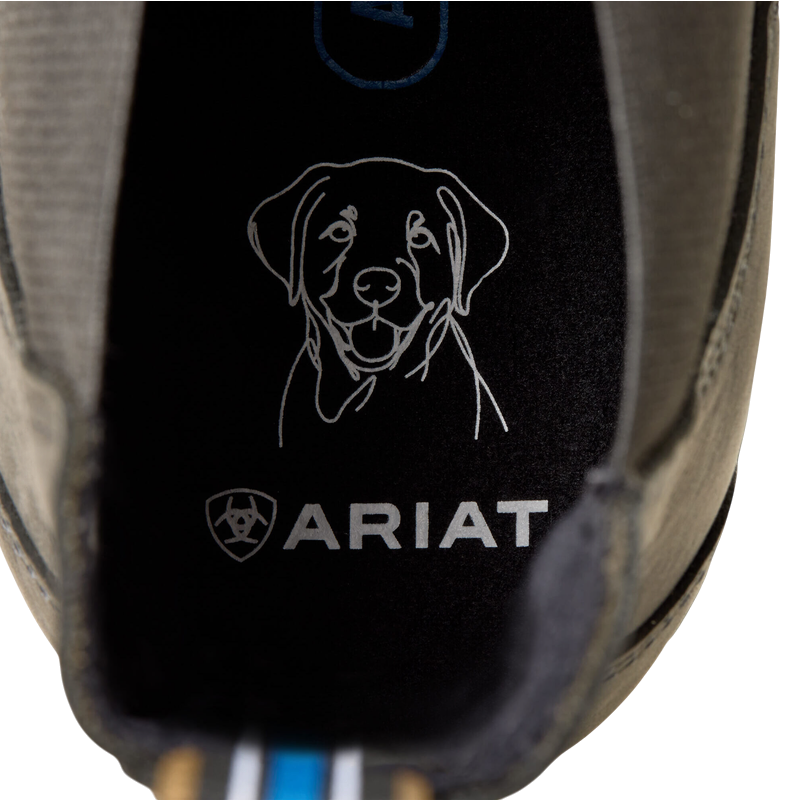 Ariat - Boots d'extérieur homme Chelsea Cooper castlerock
