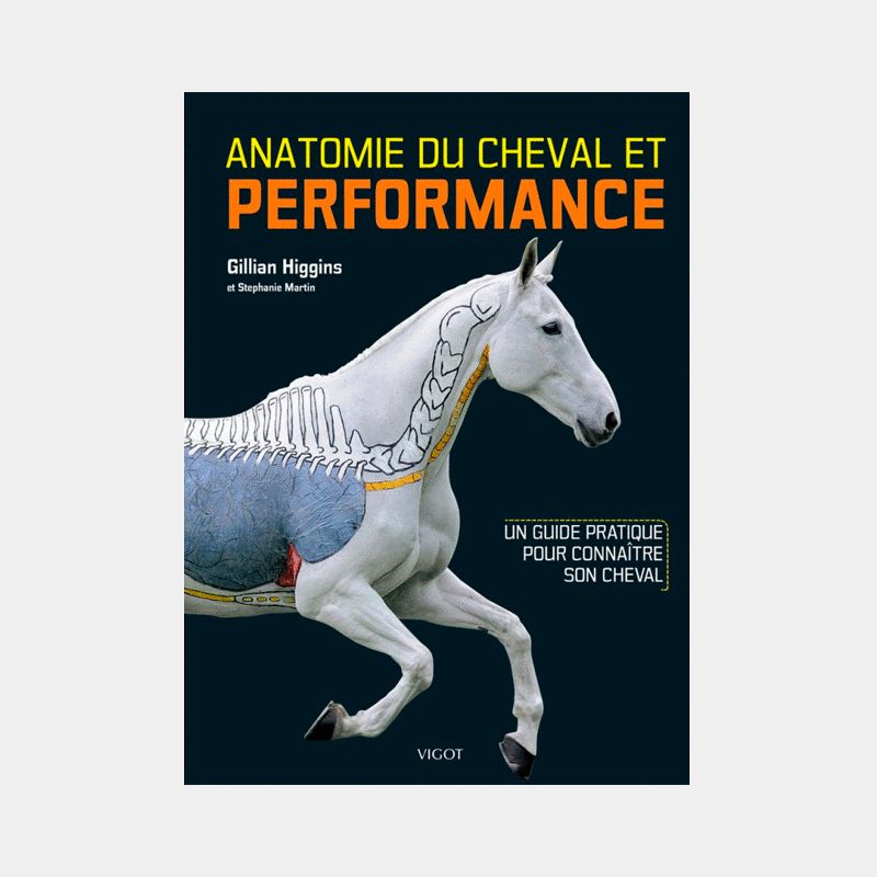 Vigot - Anatomie du cheval&Performance | - Ohlala