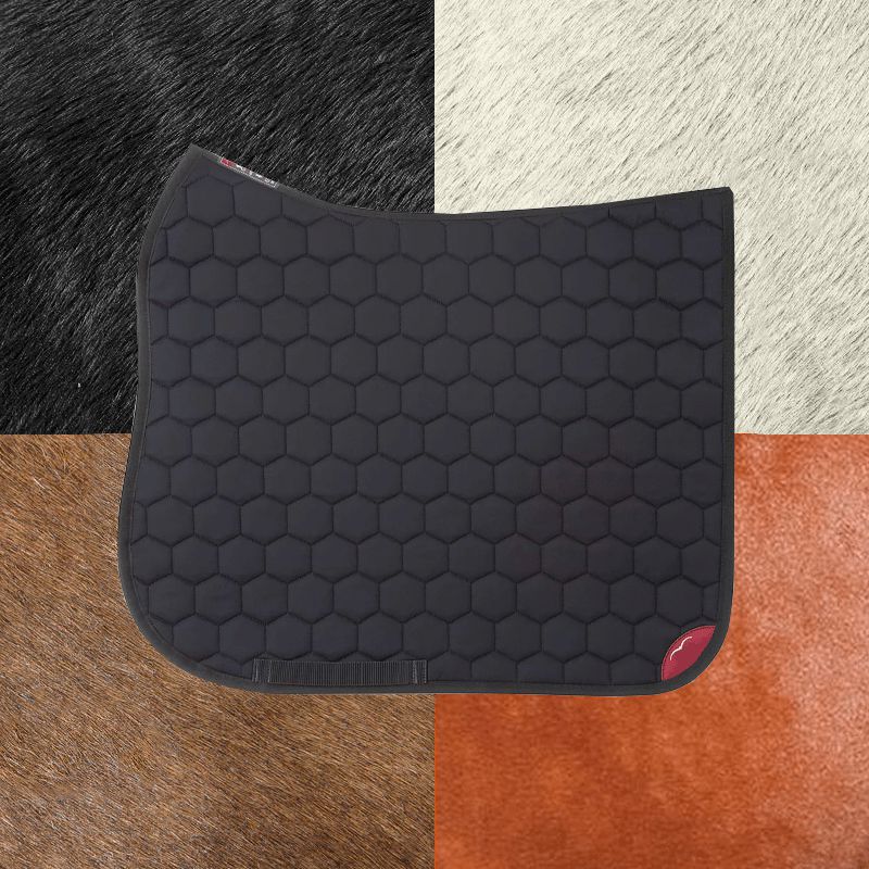 Animo Italia - Tapis de dressage W11 gris foncé | - Ohlala