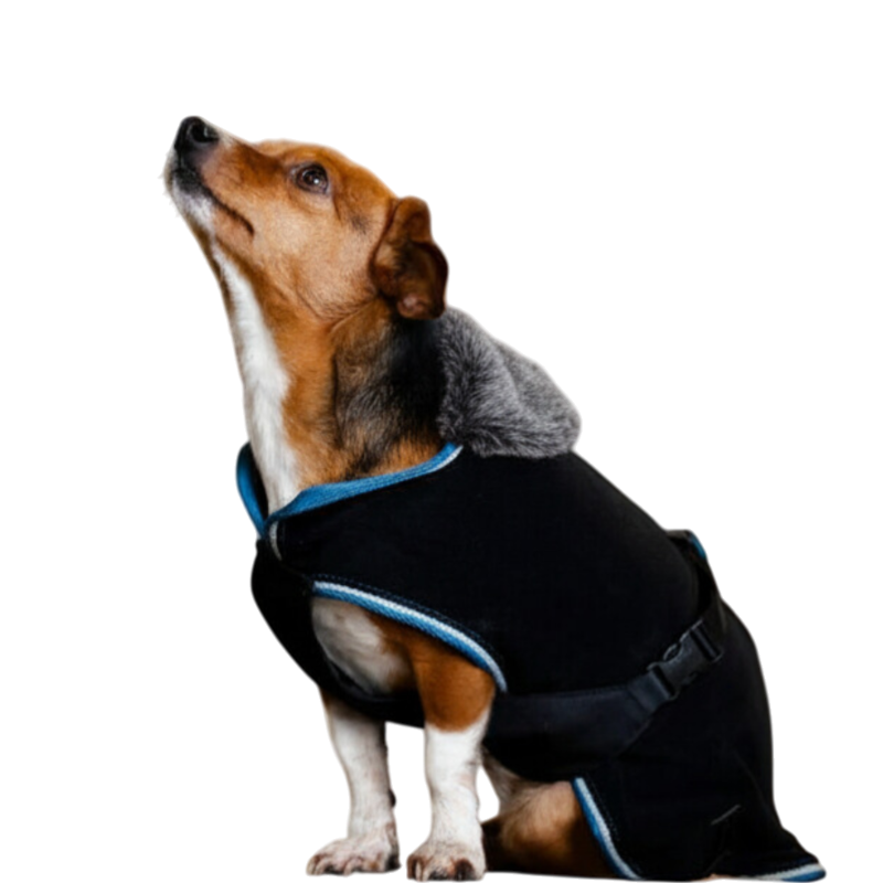 Bucas - Couverture pour chien Anniversary polaire sapphire