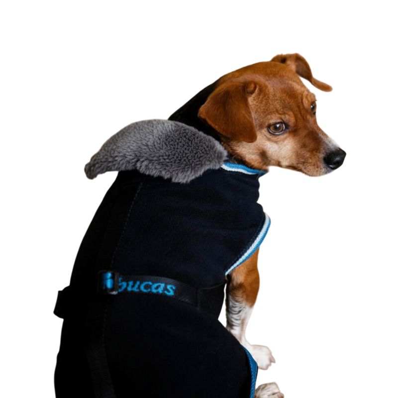 Bucas - Couverture pour chien Anniversary polaire sapphire