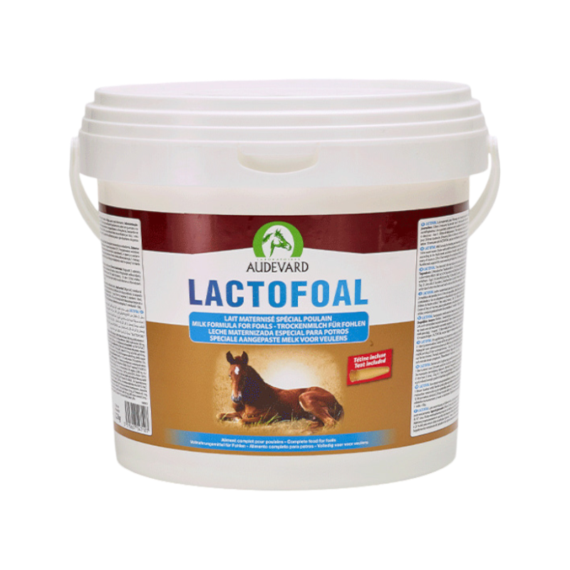 Audevard - Complément alimentaire lait maternisé spécial poulain Lactofoal