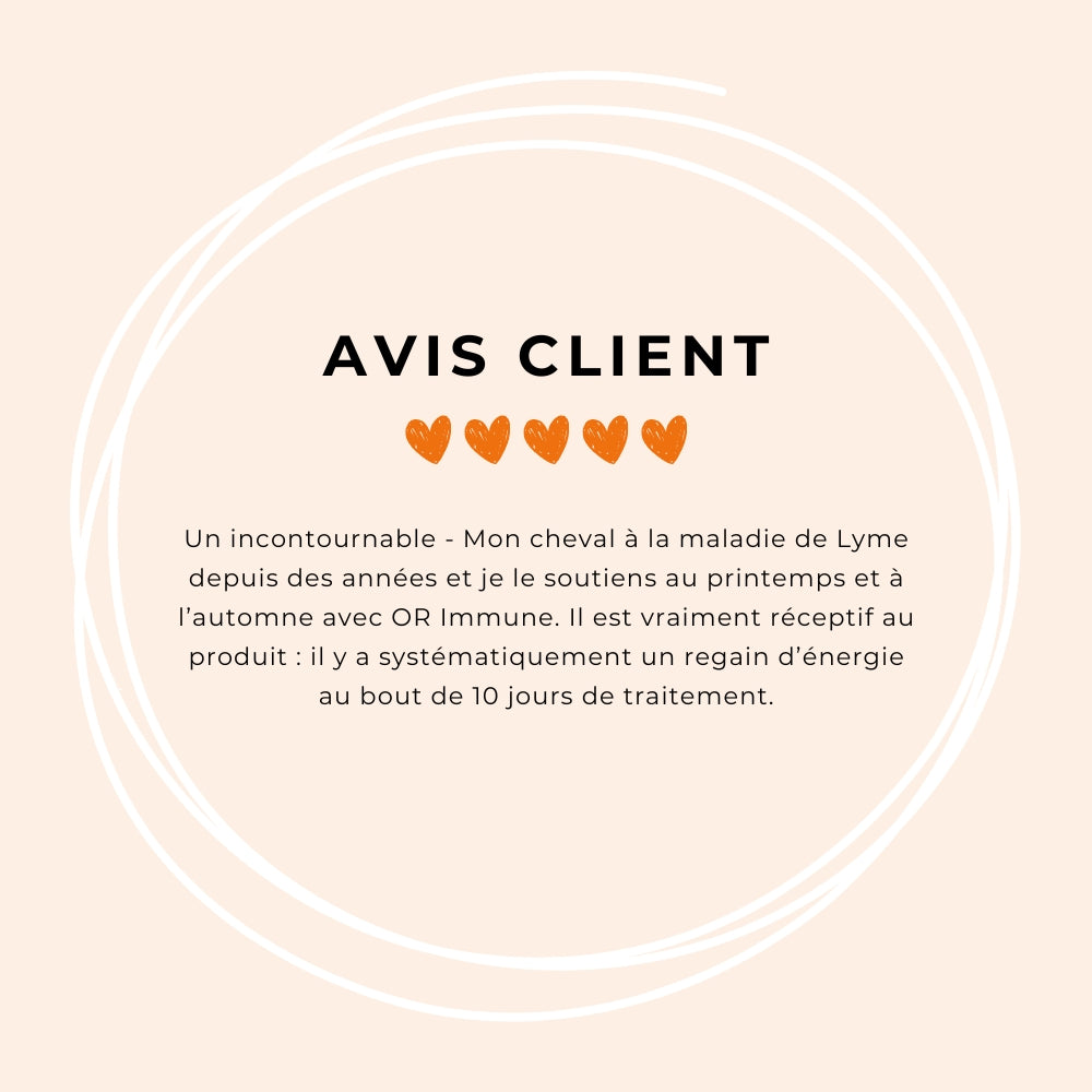 OR VET - Complément alimentaire système immunitaire Immune | - Ohlala