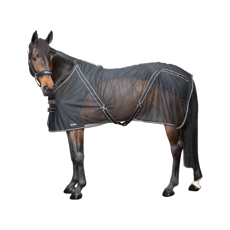 Back On Track - Chemise filet Sienna noir