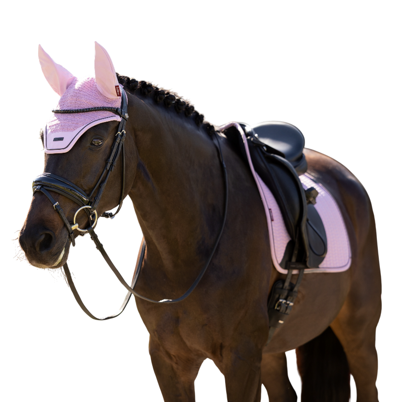 LeMieux - Paardenkapje Essence fondant | - Ohlala