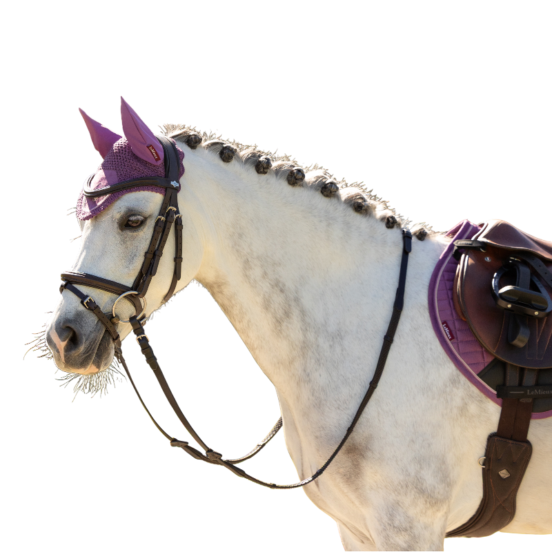 LeMieux - Bonnet pour chevaux Mini Classic mallow | - Ohlala