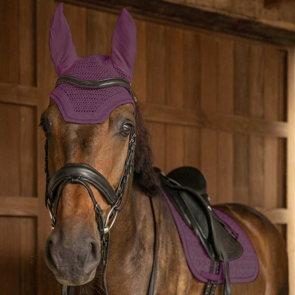 Bonnet pour chevaux Wellington Full Sparkling violet - Kentucky Horsewear