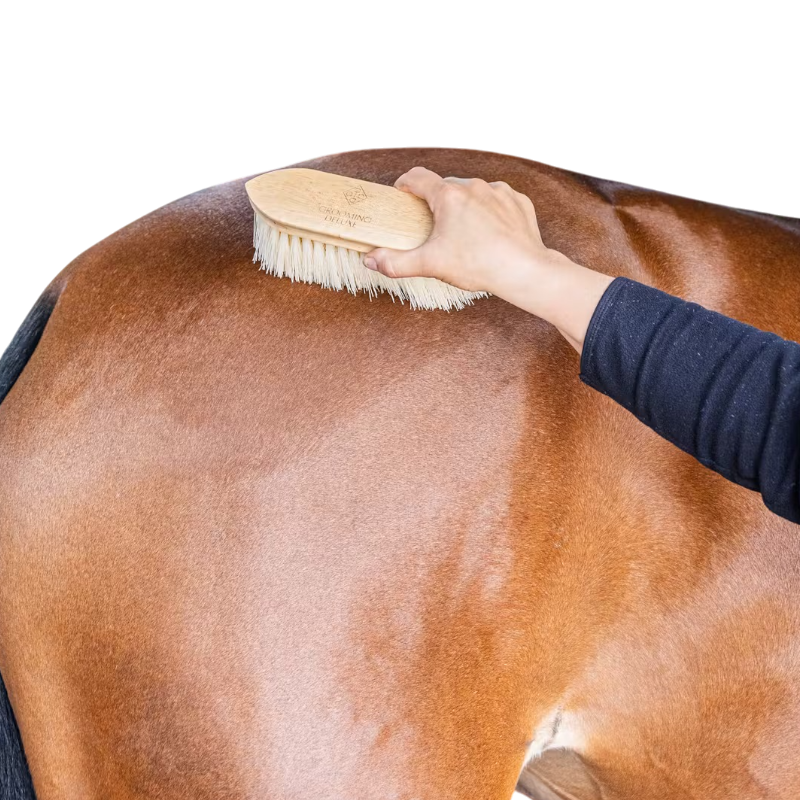 Grooming Deluxe - Bouchon en bois à poils moyen naturel