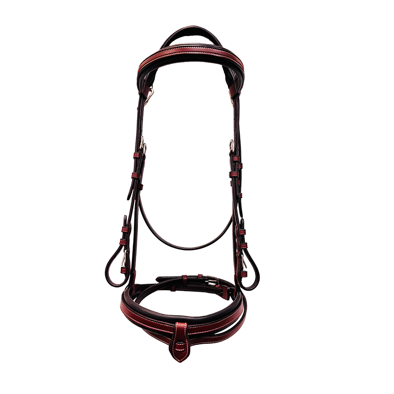 Flags & Cup - Bridon muserolle combinée Praha marron