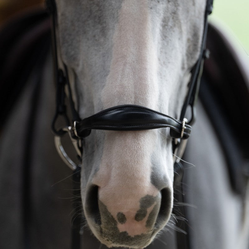 Jump'In - Bridon muserolle allemande Evolution noir