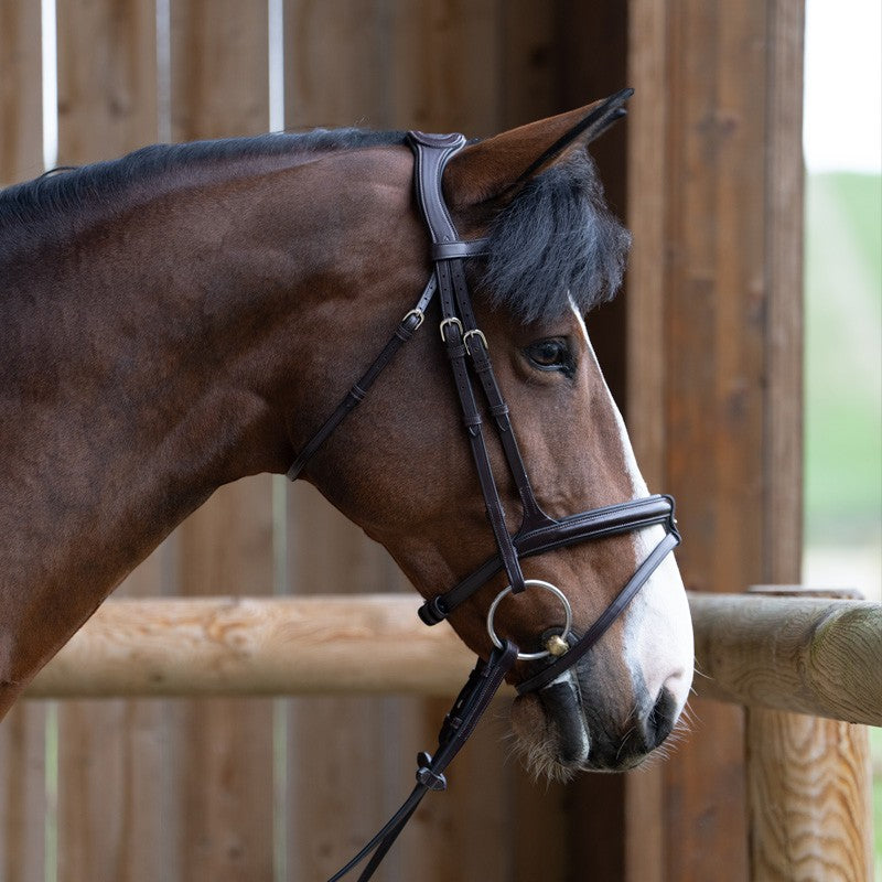 Jump'In - Bridon muserolle combinée Evolution havane