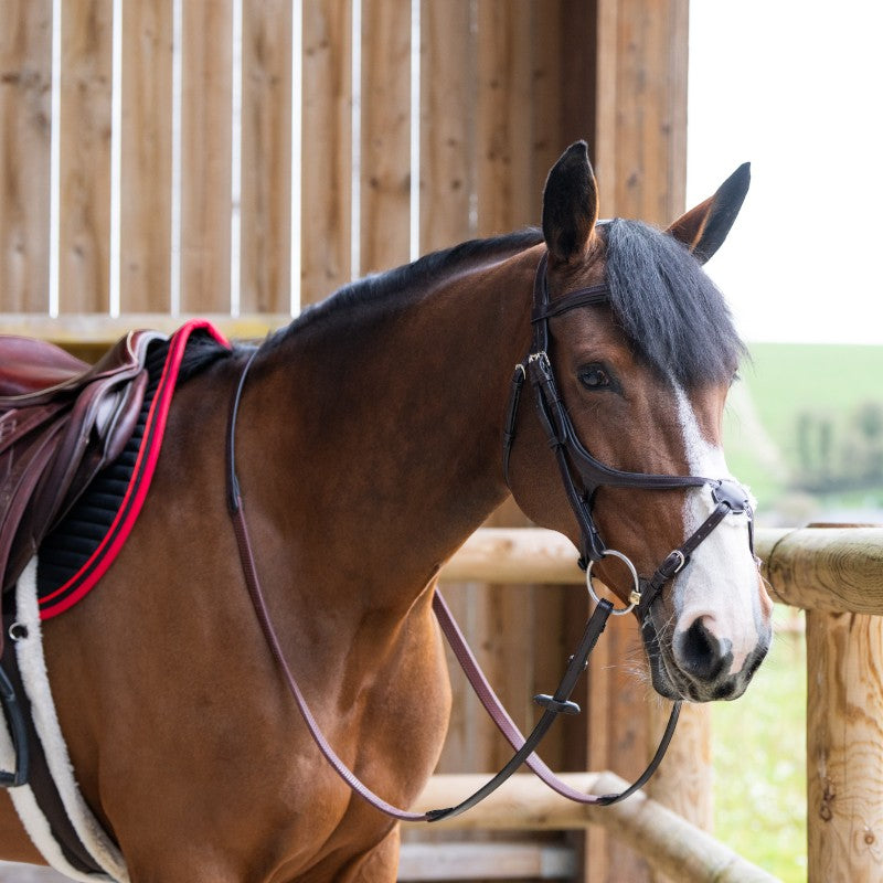 Jump'In - Bridon muserolle croisée Evolution havane