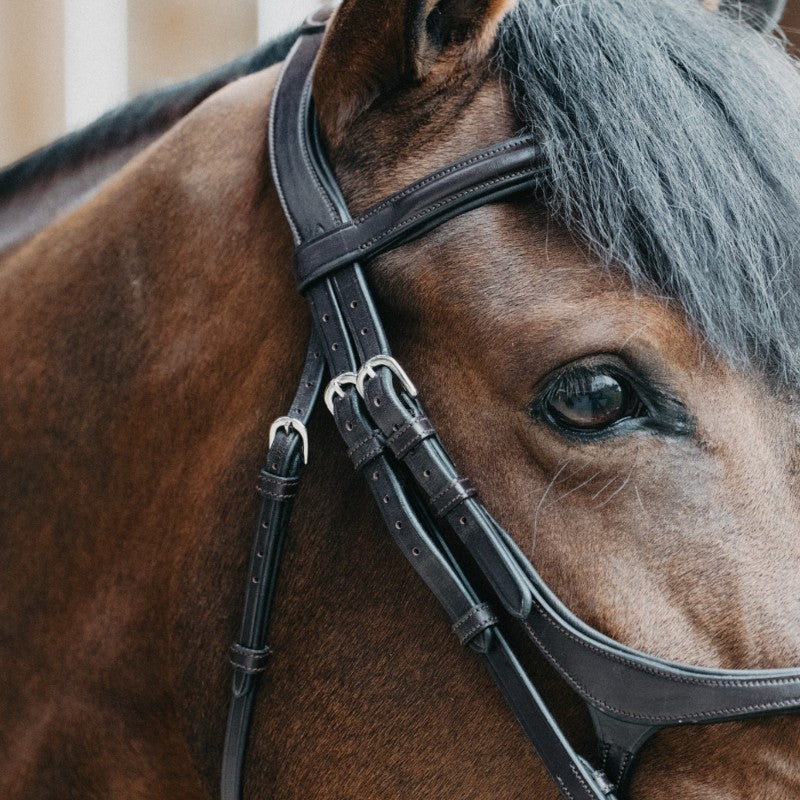 Jump'In - Bridon muserolle croisée Evolution noisette