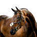 Horseware - Bridon muserolle croisée Figure marron | - Ohlala