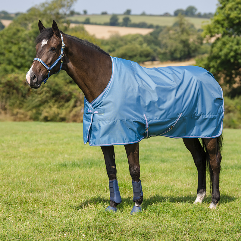 Bucas - Couverture d'extérieur Freedom Turnout 150 blueberry 150g | - Ohlala