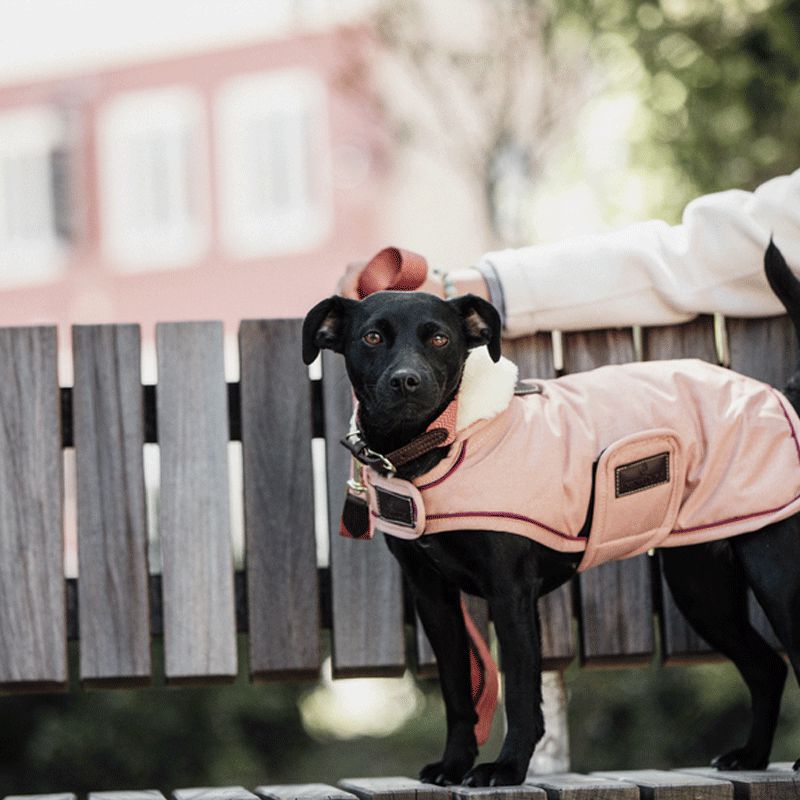 Kentucky Horsewear - Manteau Imperméable Corail | - Ohlala