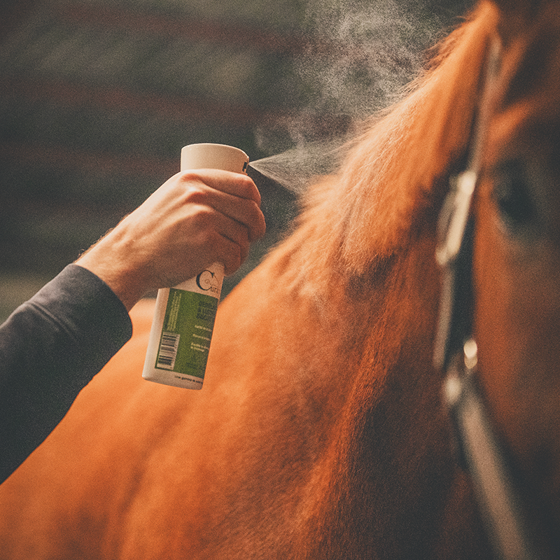 Cura Naturale - Démêlant et lustrant pour chevaux noix de coco | - Ohlala