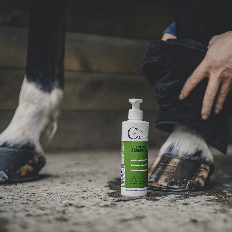 Shampoing pour chevaux Blancs et Gris Shampoing pour chevaux Blancs et Gris