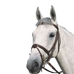 Canter - Gevoerd plat bridon met bruine teugels | - Ohlala