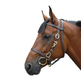 Canter - Bridon licol cheval large marron