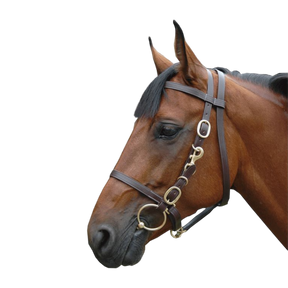Canter - Bridon licol cheval large marron