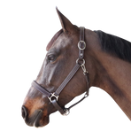 Canter - Licol cheval marron | - Ohlala
