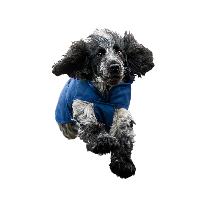 Bucas - Couverture pour chien Cosy marine