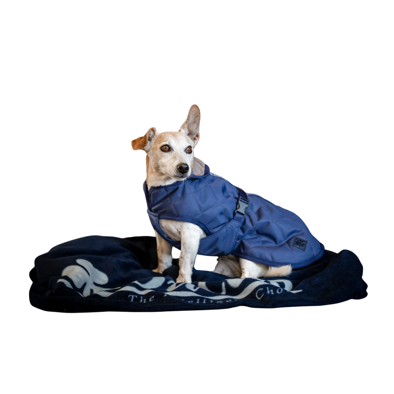 Bucas - Couverture pour chien Cosy marine