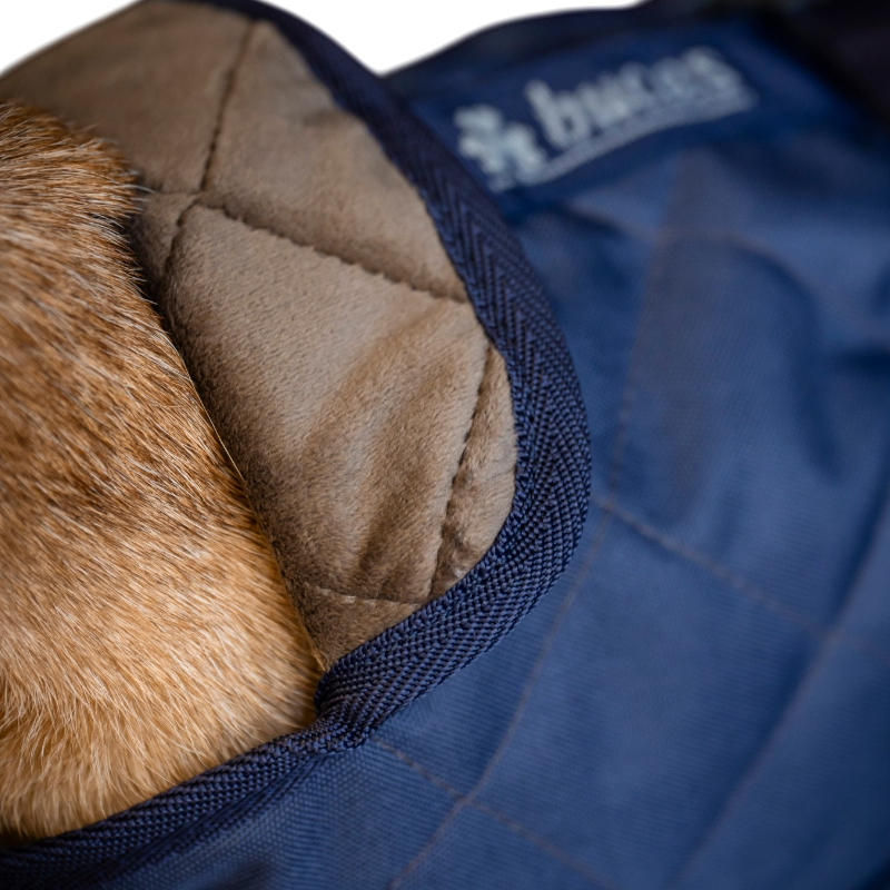 Bucas - Couverture pour chien Cosy marine