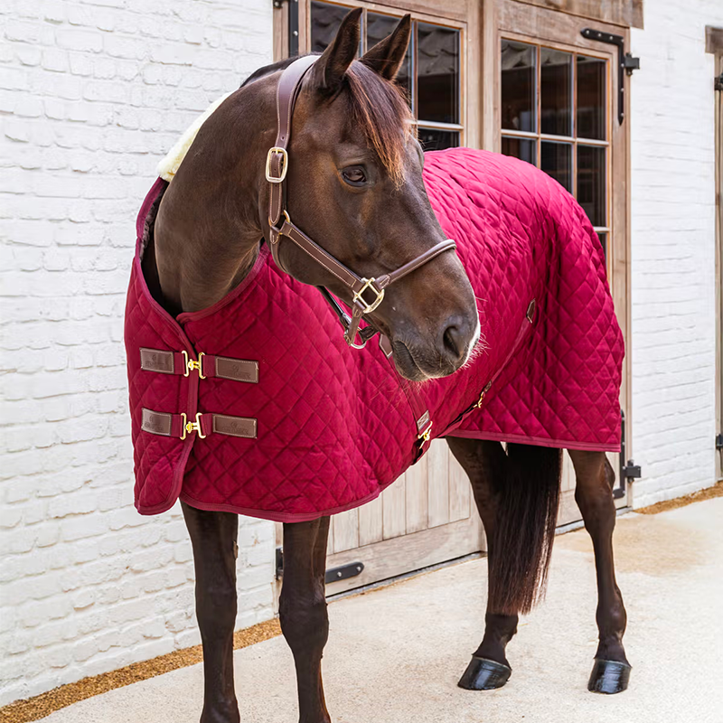 Kentucky Horsewear - Couverture de box bordeaux 400g