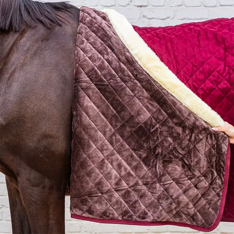 Kentucky Horsewear - Couverture de présentation bordeaux 160g