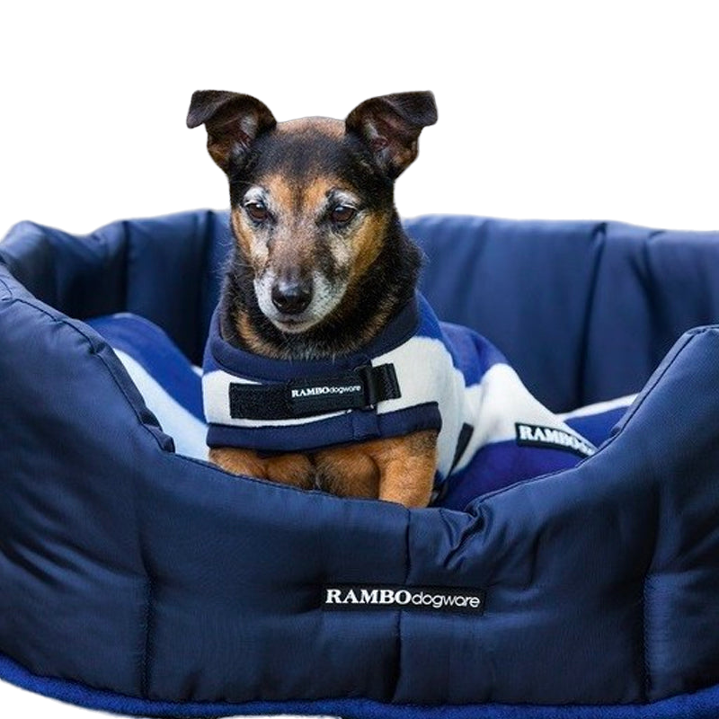 Horseware - Couverture pour chien Rambo Deluxe rayé bleu/ blanc | - Ohlala