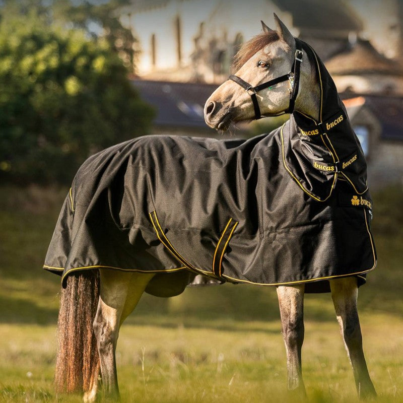 Bucas - Couverture d'extérieur Irish Turnout 150 noir/ gold 150g