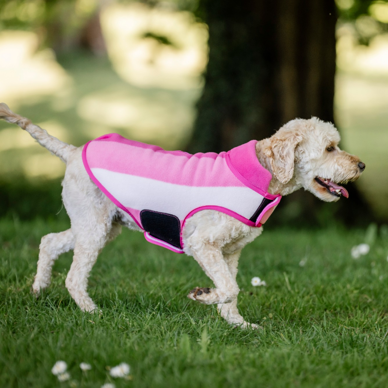 Horseware - Couverture pour chien Newmarket witney pink | - Ohlala