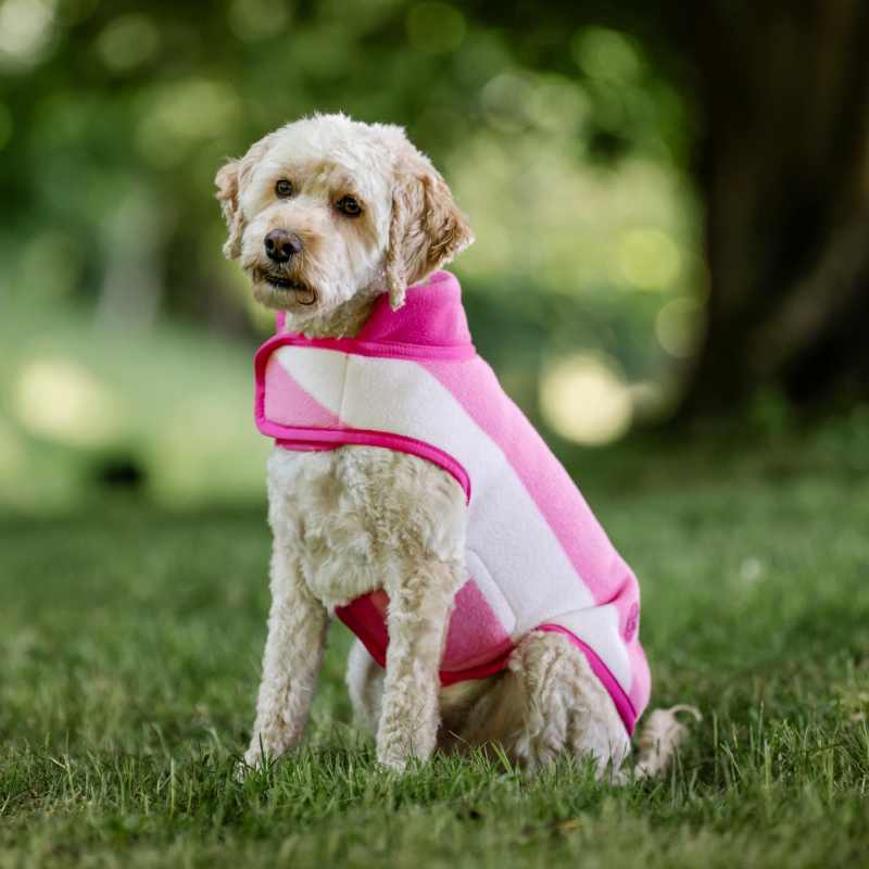 Horseware - Couverture pour chien Newmarket witney pink | - Ohlala