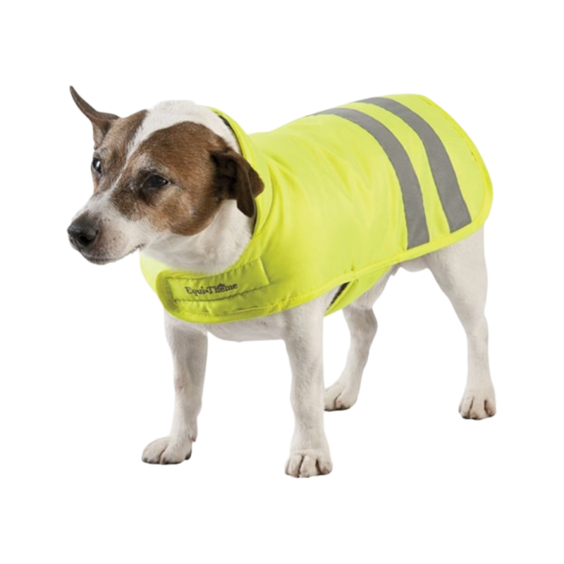 Manteau pour chiens fluorescent Equitheme OHLALA